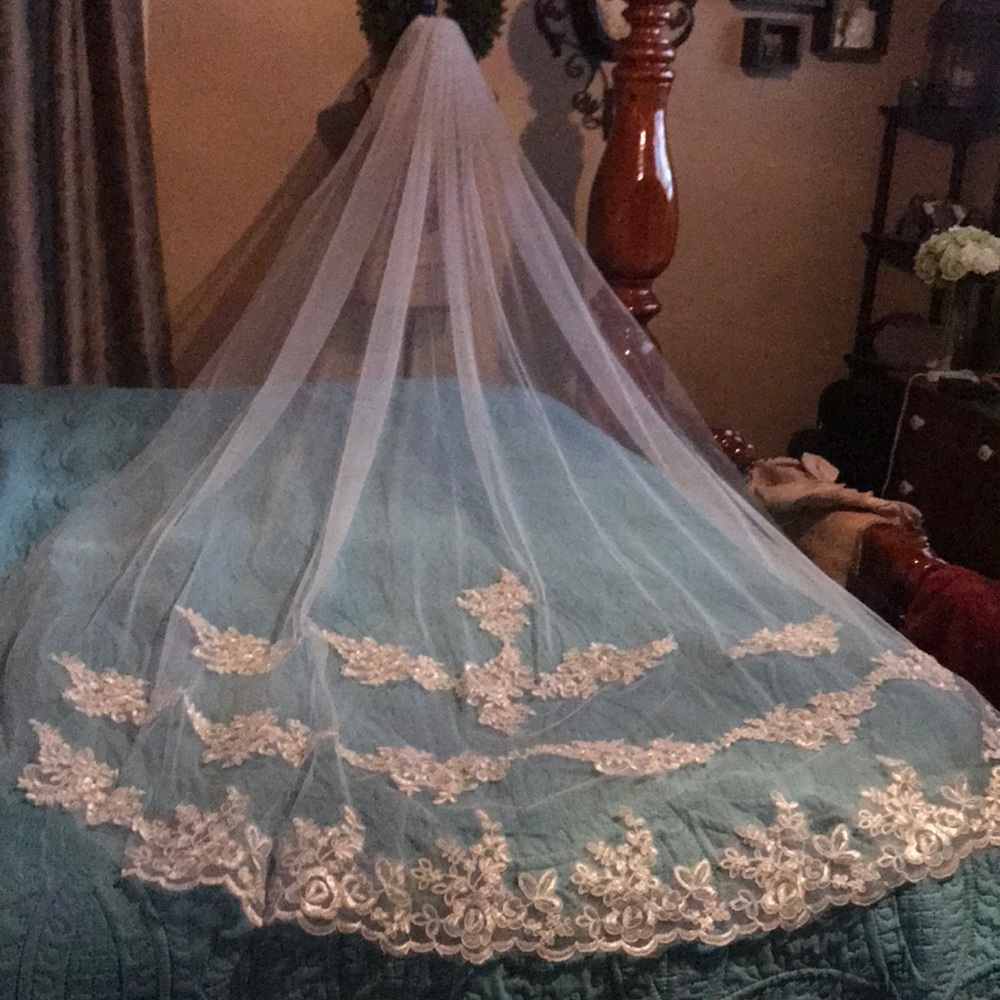 NEW beautiful cathedral veil with lace - Picture 6 of 8